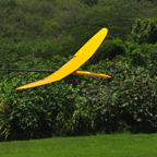 DSC_0870.JPG