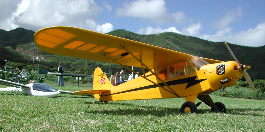 2003 - Cub and DG-1000
