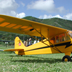 Cub&DG-300.jpg