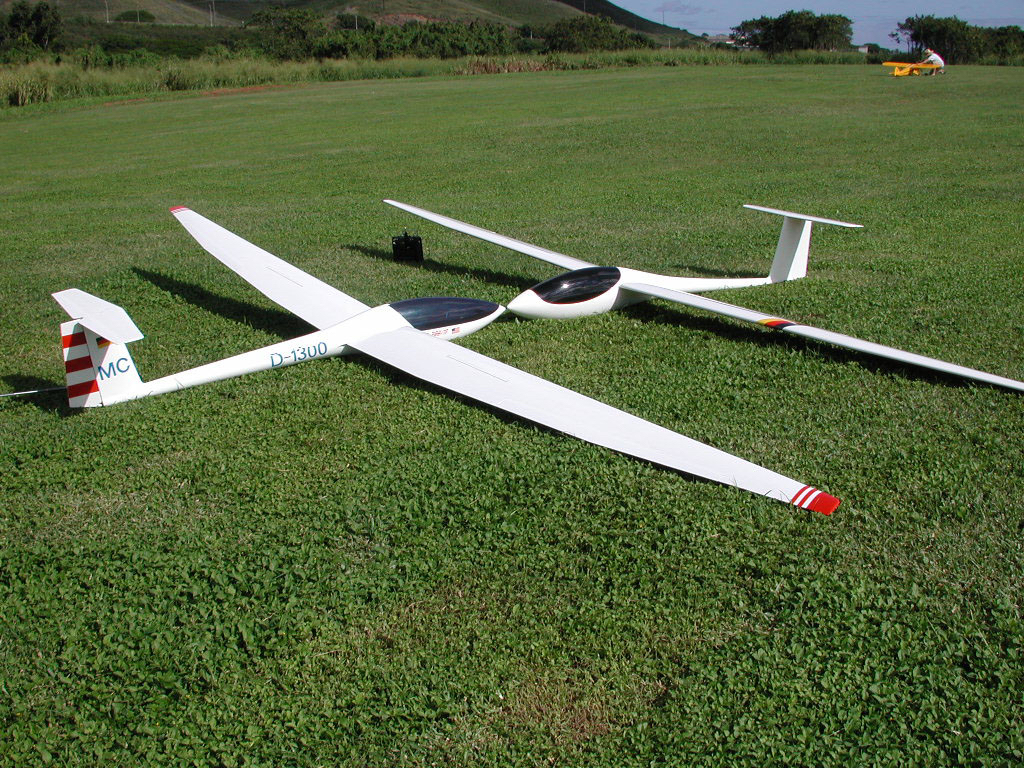 2003 - DG-1000s